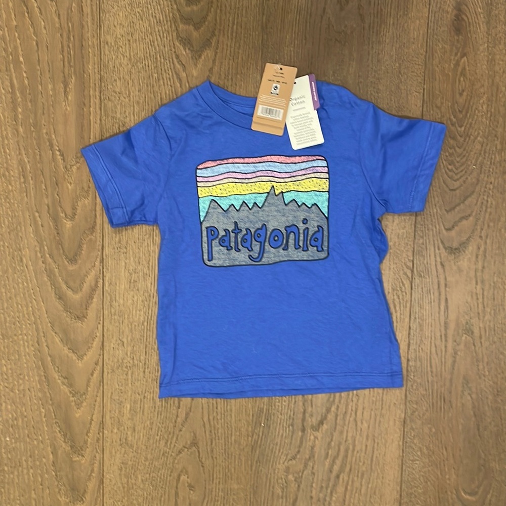 Patagonia Organic Cotton Toddler Tee